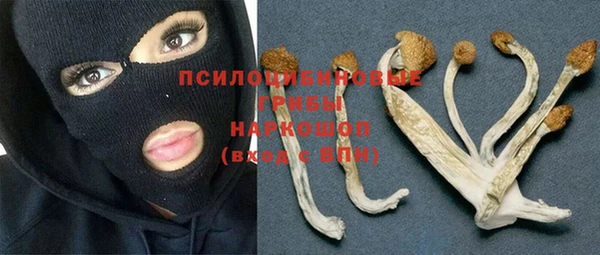 круглые Алзамай