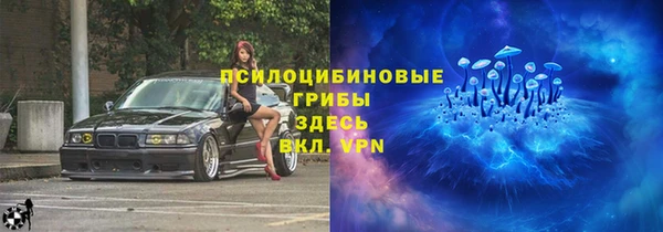 круглые Алзамай